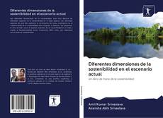 Capa do livro de Diferentes dimensiones de la sostenibilidad en el escenario actual 