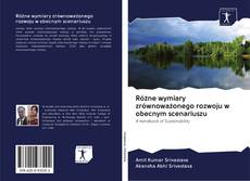 Bookcover of Różne wymiary zrównoważonego rozwoju w obecnym scenariuszu