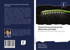 Varias formas de larvas de diferentes animales kitap kapağı