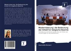 Modernisierung: die Bedeutung der Arbeit für belgische Beamte kitap kapağı