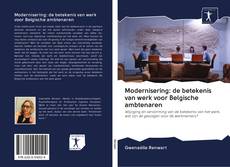 Modernisering: de betekenis van werk voor Belgische ambtenaren的封面