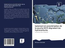 Couverture de Isolement et caractérisation de la souche HC19 dégradant les hydrocarbures