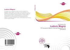 Portada del libro de Ludovic Magnin