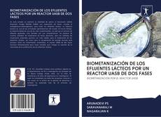 Capa do livro de BIOMETANIZACIÓN DE LOS EFLUENTES LÁCTEOS POR UN REACTOR UASB DE DOS FASES 