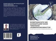 Buchcover von BIOMETHANICATIE VAN ZUIVELEFFLUENT DOOR TWEEFASIGE UASBREINIGINGSREACTOR