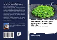 Industrielle Nutzung von recyceltem Gummi aus Altreifen kitap kapağı