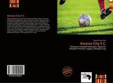 Bookcover of Awassa City F.C.