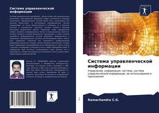 Система управленческой информации kitap kapağı