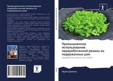 Bookcover of Промышленное использование переработанной резины из подержанных шин