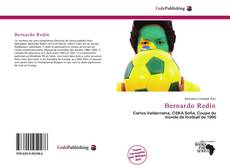 Capa do livro de Bernardo Redín 