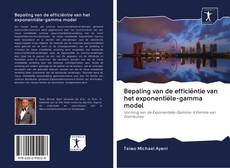 Bookcover of Bepaling van de efficiëntie van het exponentiële-gamma model