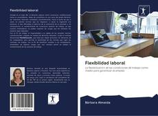 Bookcover of Flexibilidad laboral