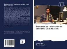 Évaluation de l'évaluation de l'ERP chez Ethio-telecom kitap kapağı