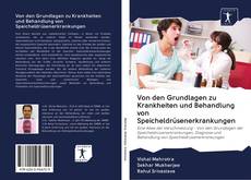 Bookcover of Von den Grundlagen zu Krankheiten und Behandlung von Speicheldrüsenerkrankungen