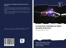 La business intelligence delle vendite di Serima的封面