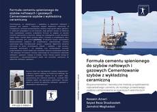 Buchcover von Formuła cementu spienionego do szybów naftowych i gazowych Cementowanie szybów z wykładziną ceramiczną