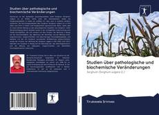 Bookcover of Studien über pathologische und biochemische Veränderungen