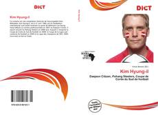 Capa do livro de Kim Hyung-il 