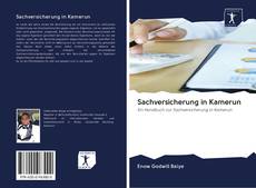 Bookcover of Sachversicherung in Kamerun