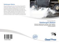 Portada del libro de Salzbergen Station