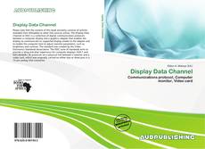 Bookcover of Display Data Channel