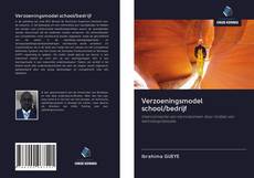 Bookcover of Verzoeningsmodel school/bedrijf