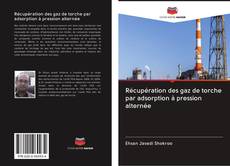 Capa do livro de Récupération des gaz de torche par adsorption à pression alternée 