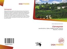 Couverture de Llanveynoe