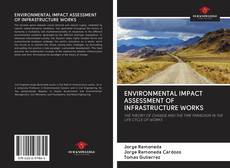 ENVIRONMENTAL IMPACT ASSESSMENT OF INFRASTRUCTURE WORKS kitap kapağı
