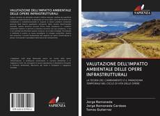 Buchcover von VALUTAZIONE DELL'IMPATTO AMBIENTALE DELLE OPERE INFRASTRUTTURALI