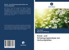 Buchcover von Knick- und Schwingungsanalyse von Verbundplatten