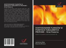 Buchcover von DOSTOSOWANIE FLANGÓW W PUNKTACH TUBULARNYCH PROFUND - Straż Pożarna