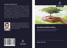 Sociale boekhouding kitap kapağı