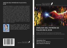 ANÁLISIS DEL PATRÓN DE FLUJO EN EL ECM的封面