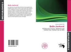 Buchcover von Božo Janković