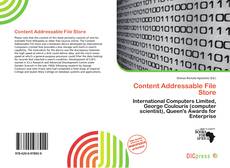 Portada del libro de Content Addressable File Store