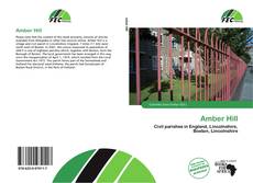 Copertina di Amber Hill