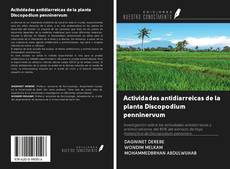 Capa do livro de Actividades antidiarreicas de la planta Discopodium penninervum 
