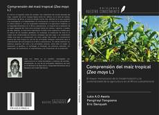 Borítókép a  Comprensión del maíz tropical (Zea mays L.) - hoz