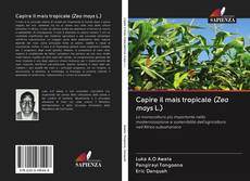 Buchcover von Capire il mais tropicale (Zea mays L.)