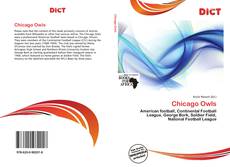 Capa do livro de Chicago Owls 