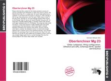 Buchcover von Oberlerchner Mg 23