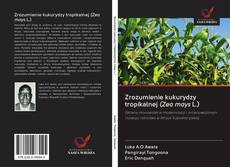 Zrozumienie kukurydzy tropikalnej (Zea mays L.) kitap kapağı