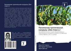 Portada del libro de Понимание тропической кукурузы (Zea mays L.)