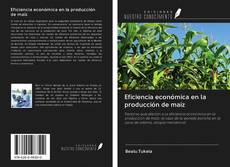 Buchcover von Eficiencia económica en la producción de maíz