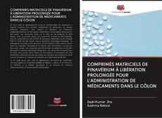 Bookcover of COMPRIMÉS MATRICIELS DE PINAVÉRIUM À LIBÉRATION PROLONGÉE POUR L'ADMINISTRATION DE MÉDICAMENTS DANS LE CÔLON