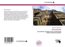 Bookcover of Bitchfield