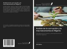 Análisis de la corrupción y la macroeconomía en Nigeria kitap kapağı
