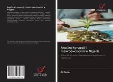 Buchcover von Analiza korupcji i makroekonomii w Nigerii