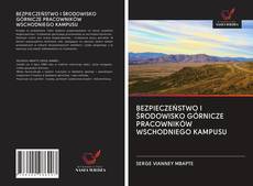 Capa do livro de BEZPIECZEŃSTWO I ŚRODOWISKO GÓRNICZE PRACOWNIKÓW WSCHODNIEGO KAMPUSU 